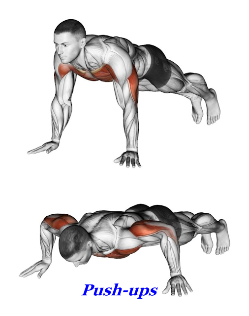 How To Do A Complete Chest Workout At Home Without Using Any Equipment