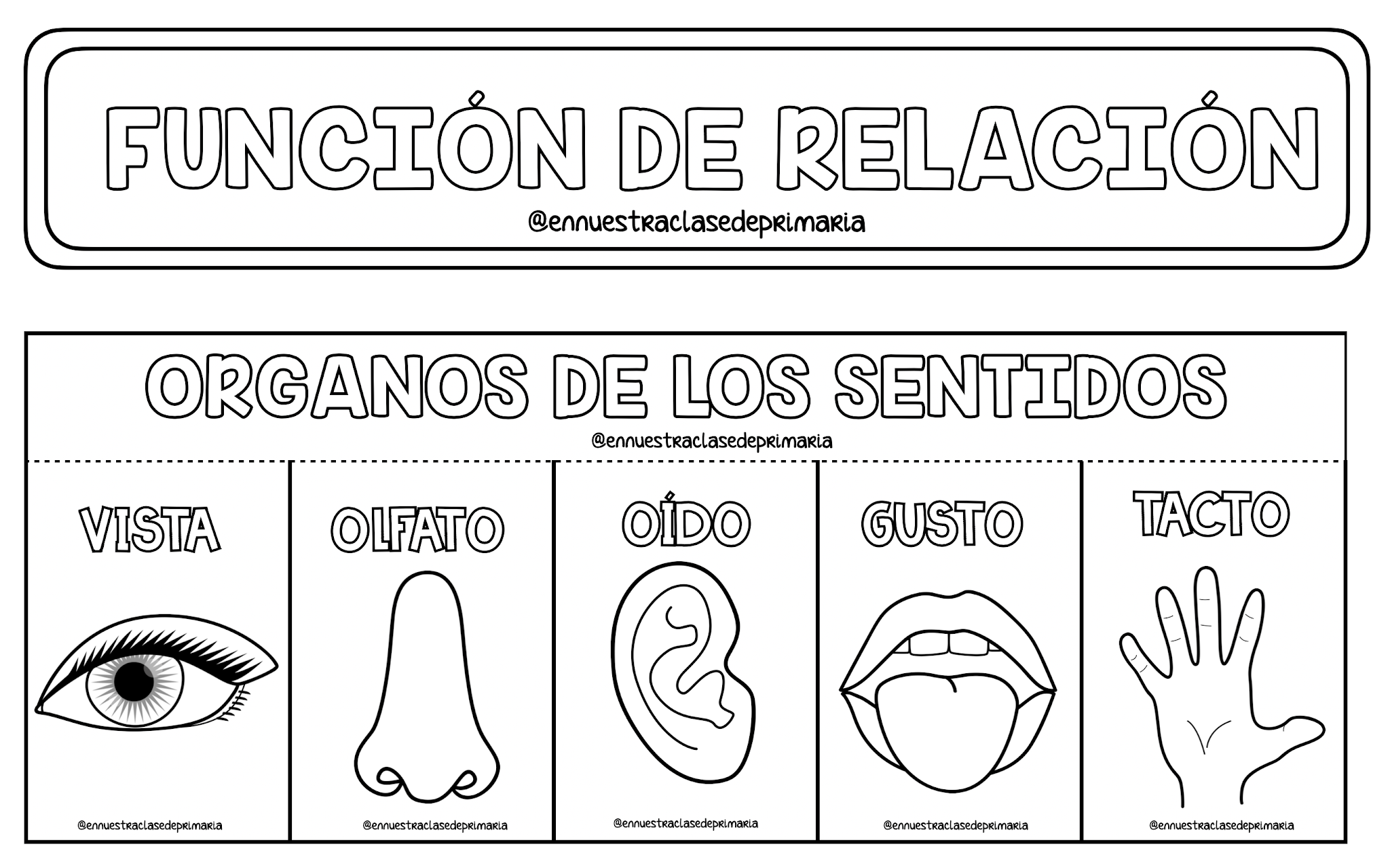 En nuestra clase de Primaria FOLDABLE