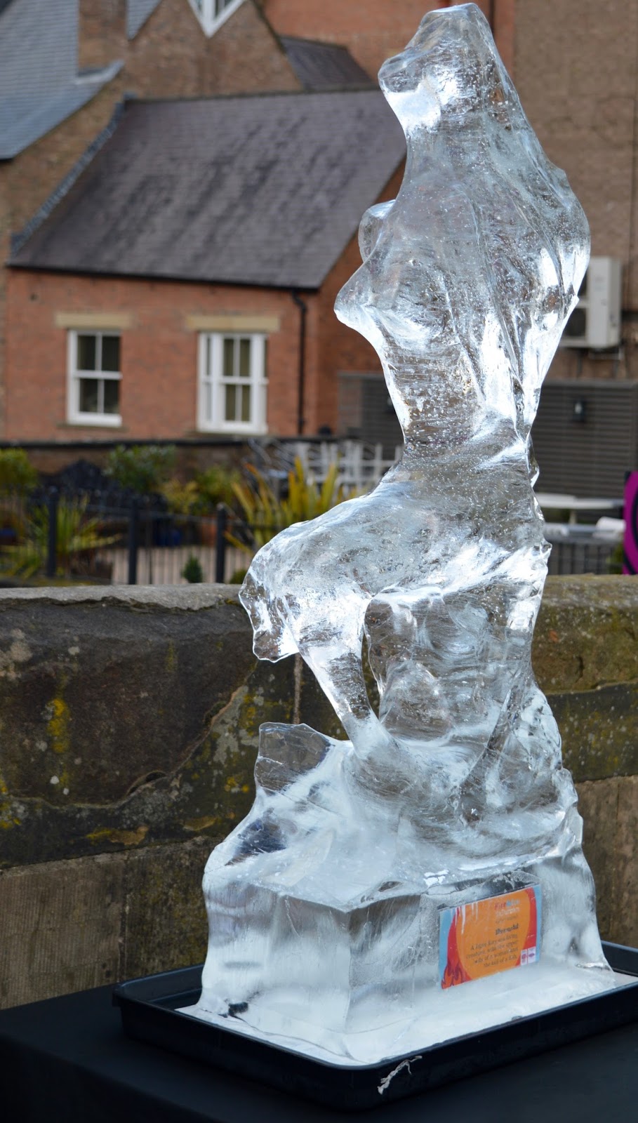 Fire and Ice Durham 2017 | Photographs & Top Tips for 2018 - melted ice mermaid