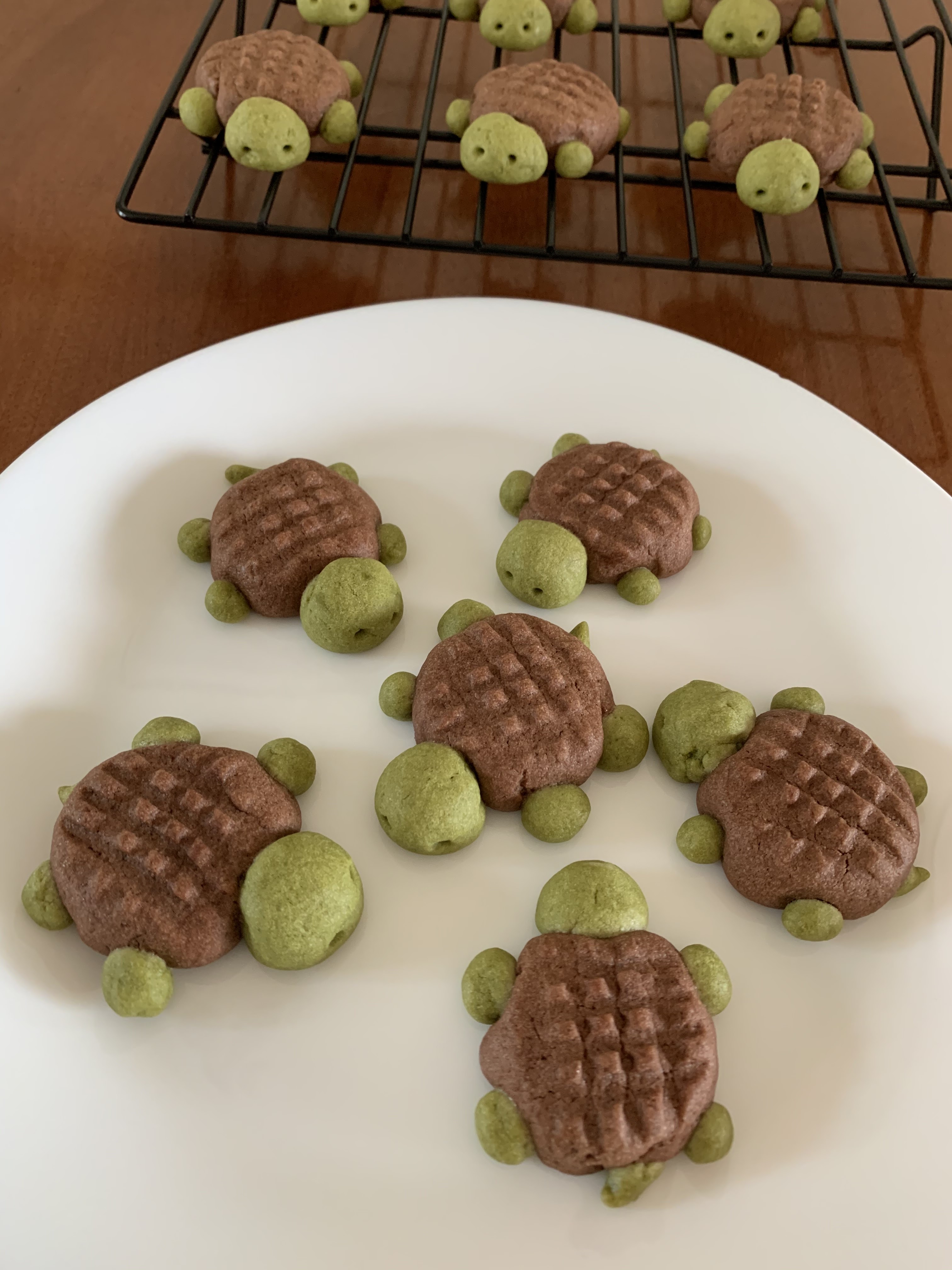 Matcha & Chocolate Turtle Cookies