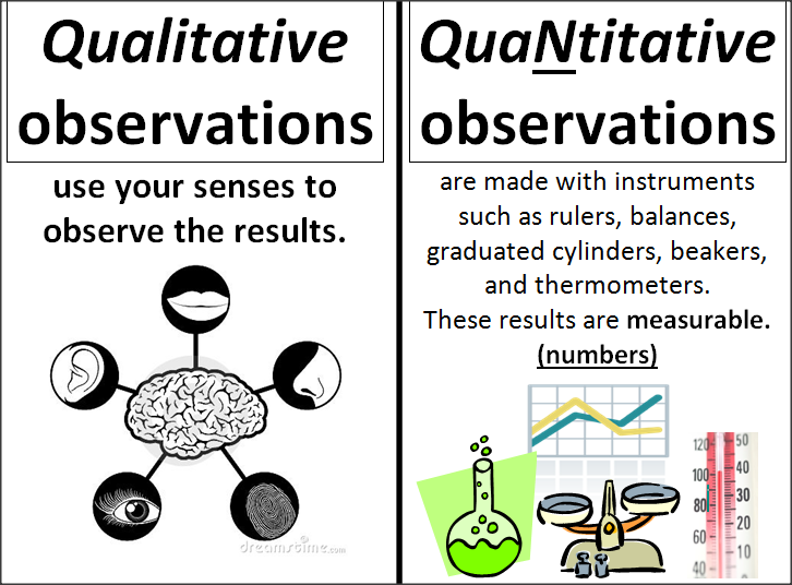 Qualitative And Quantitative Observations Worksheet Answer Key
