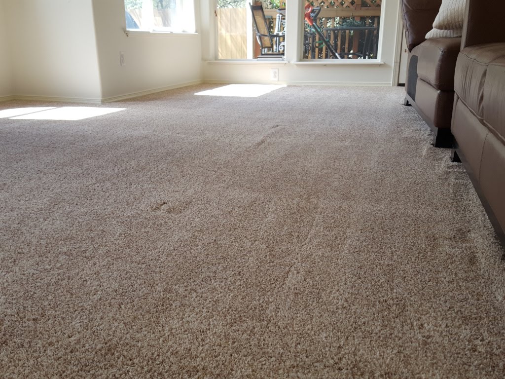 Carpet Cleaning Services Affordable Carpet Cleaning Services Warren