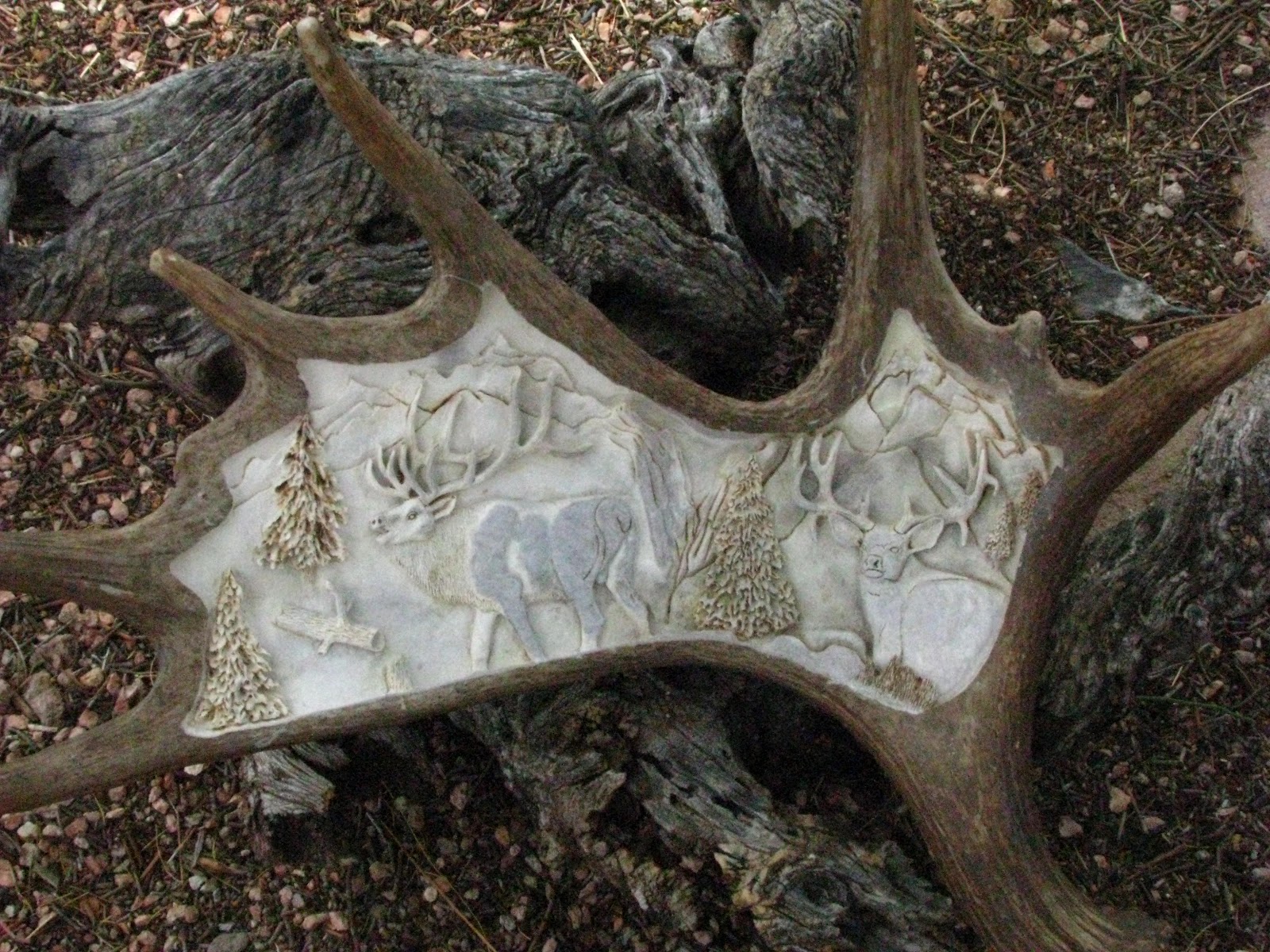 CALL OF THE WILD Moose Horn Carvings