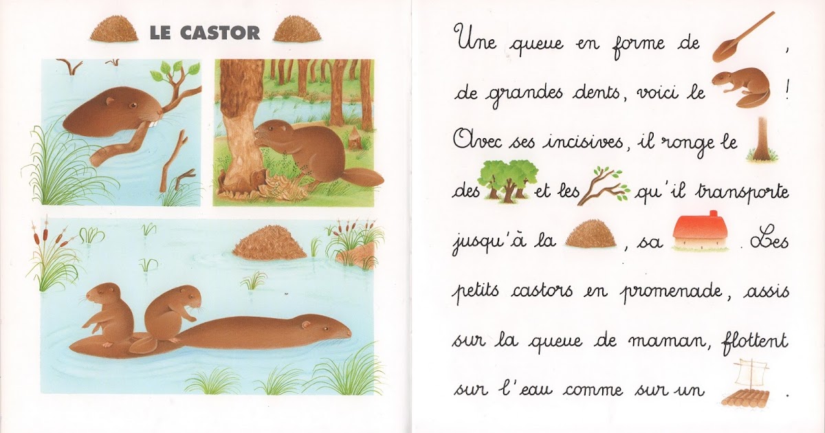 Leçons de choses Le castor