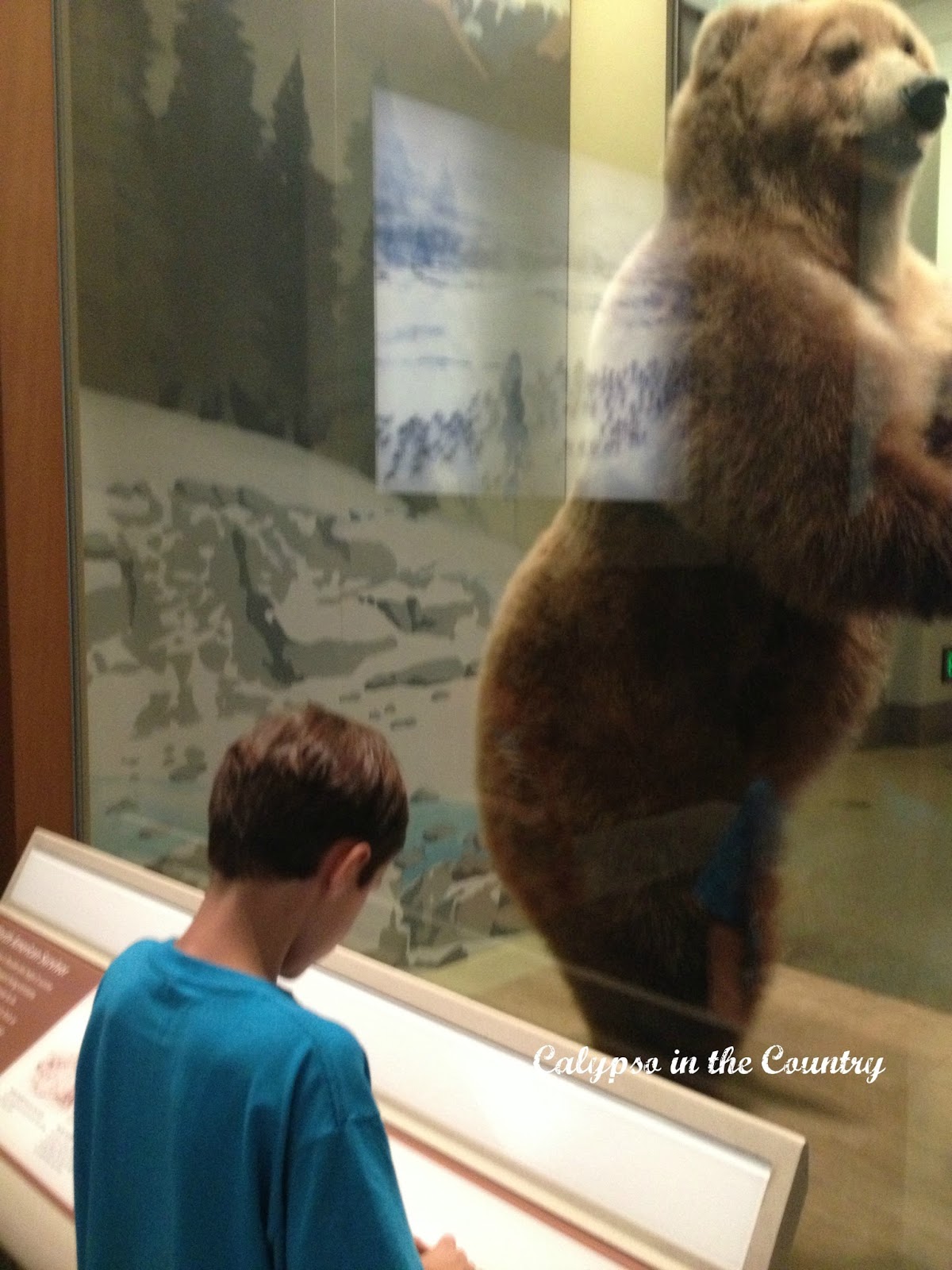 DC Museum of Natural History DC Museum of Natural History