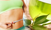 How does Green Tea helps you lose weight
