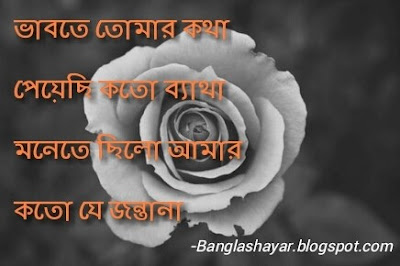 new bangla sad shayari, bengali shayari in bengali font, bengali shayari download, bengali shayari with picture, bangla very sad sms