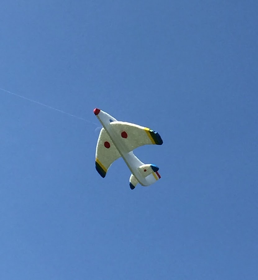 Avion de poliespan en pleno vuelo