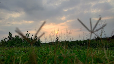 Free Images Stock Background Photos free images, background images, background stock, background, nature background, free stock background image, free stock photos