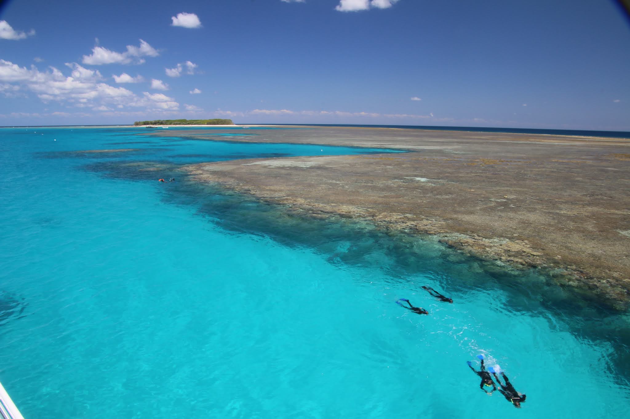 OurTripDreaming Lady Musgrave Island, Southern Great Barrier Reef (Bundaberg Trip)