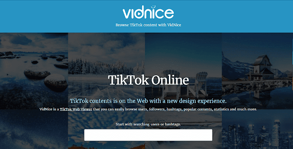 Vidnice 網頁版 TikTok 抖音檢視器