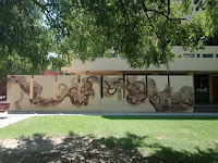 Public Art in Albury | Government Wall