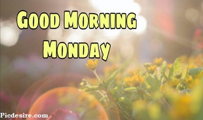 Good Morning Monday | 15+ Best Good Morning Monday Images
