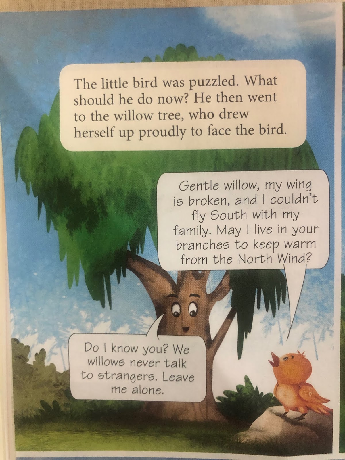 Lesson 1 Why Evergreen Trees Never Lose Their Leaves