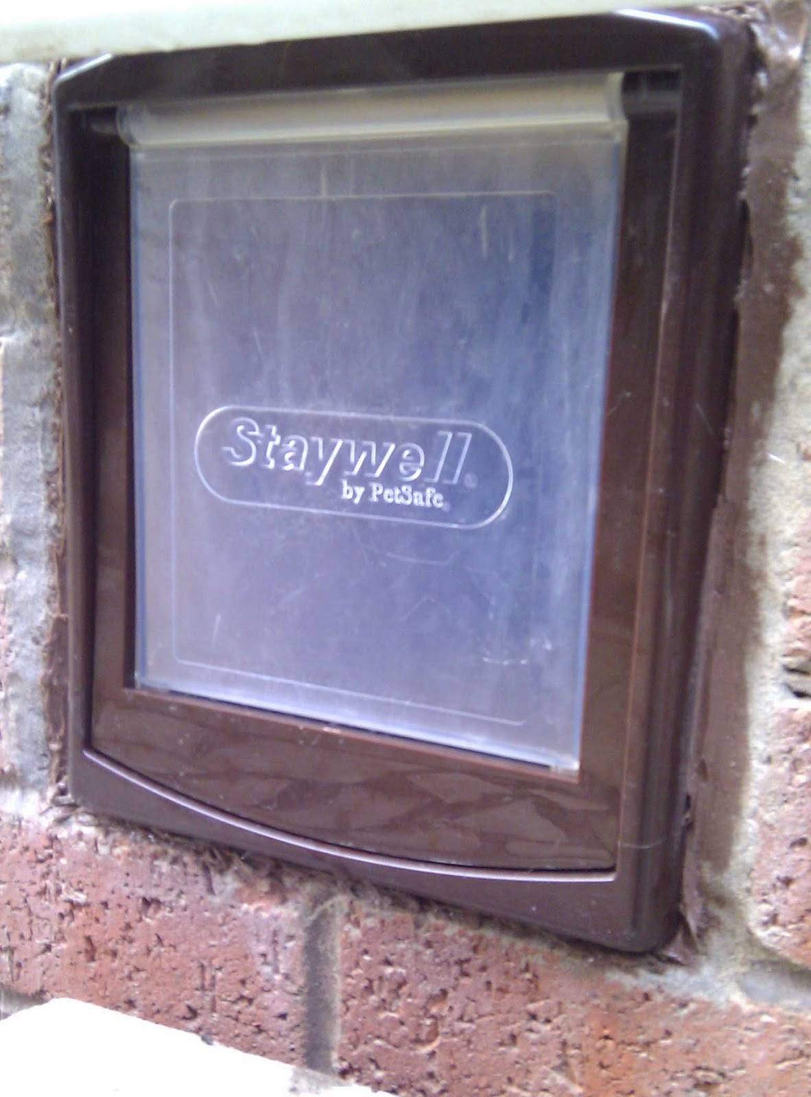 Fitting a Cat or small Dog