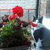 Never Too Late: if you missed the IPKat last week