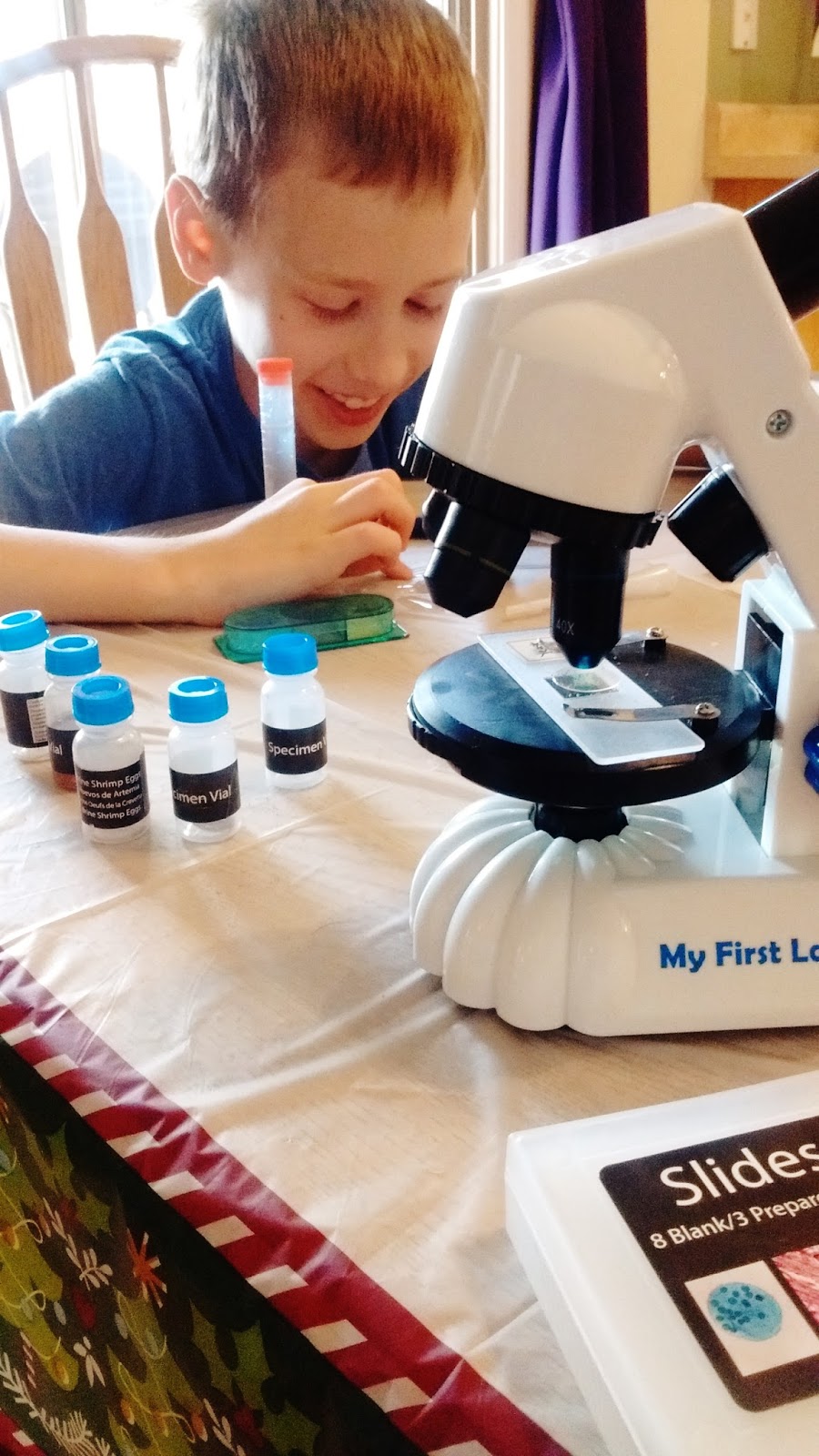 The Traveling Sisterhood: My First Lab Microscope Giveaway, the Perfect