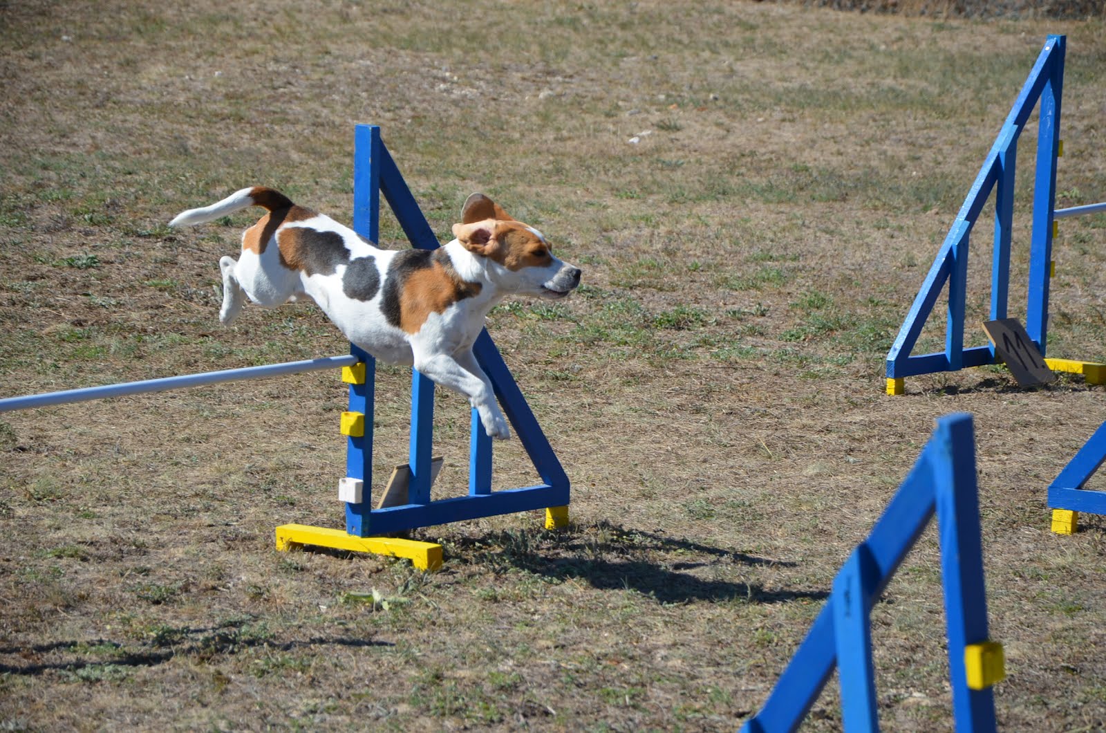 DSC_0332.JPG