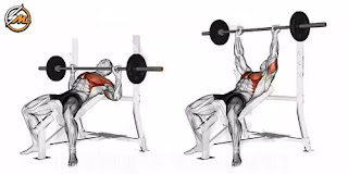 7 Best Chest Exercises For Building Muscle