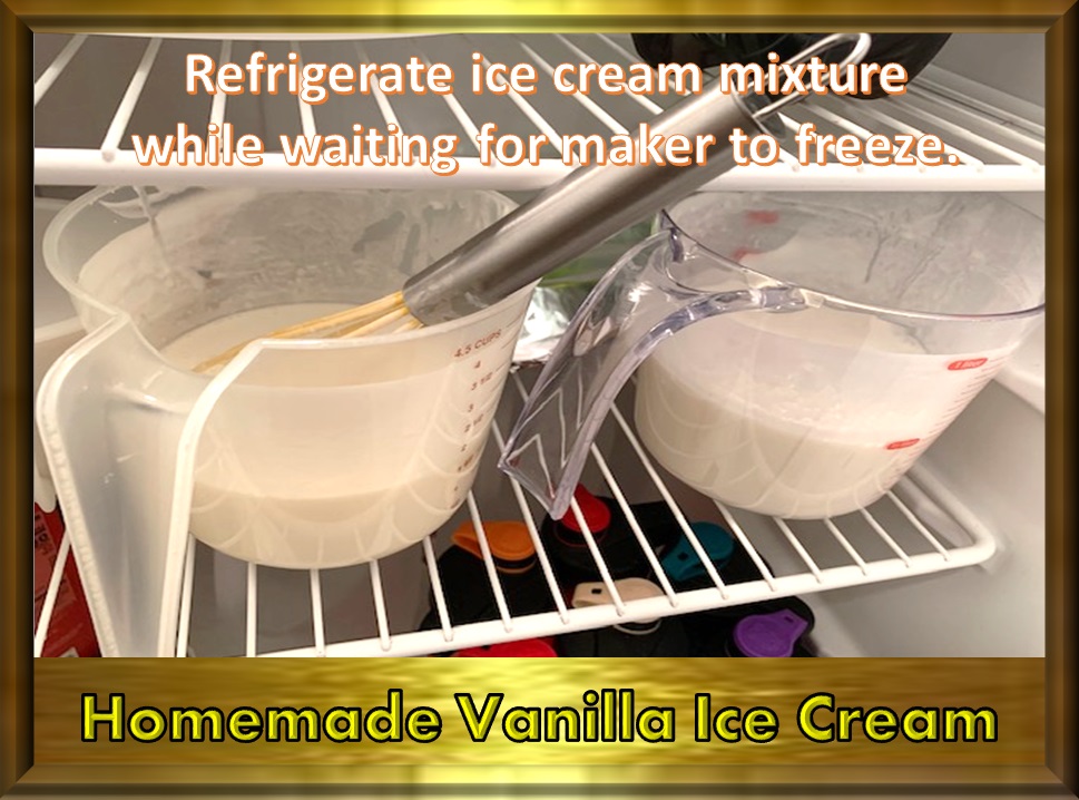 Animal, Nature, and Travel Tastebud Journey Homemade Vanilla Ice