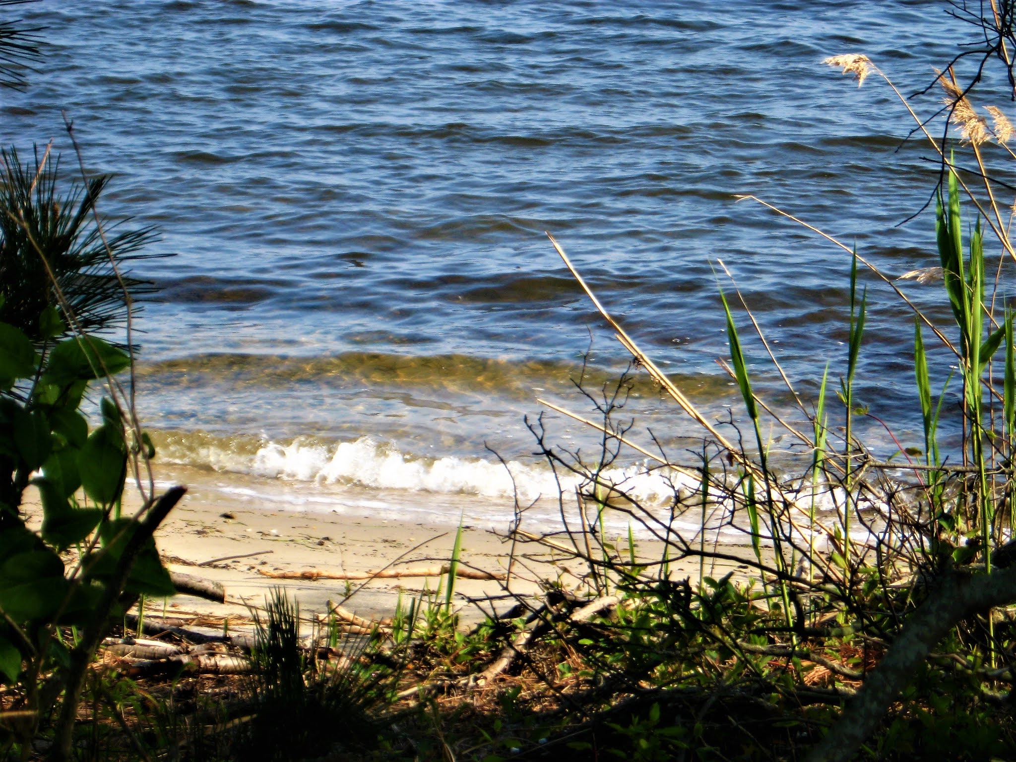 Cottage by the Sea  Spring Returns