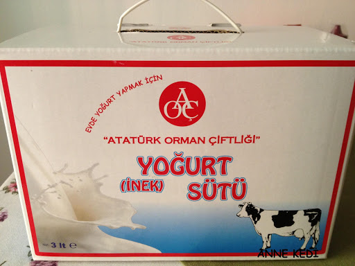 ANNE KEDİ: Evde Yoğurt Yapımı 3 / AOÇ Yoğurt Sütü