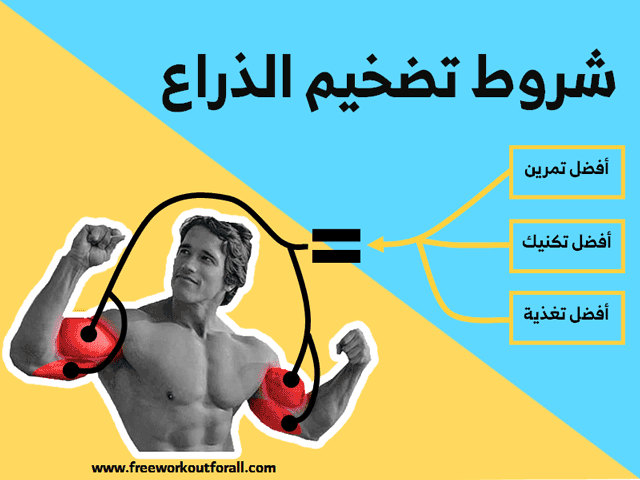 تمارين الباي والتراي بالصور