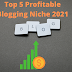 Top 5 Profitable Blogging Niche 2021