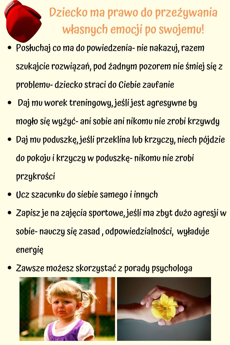 Gabinet dobrych myśli : 2019
