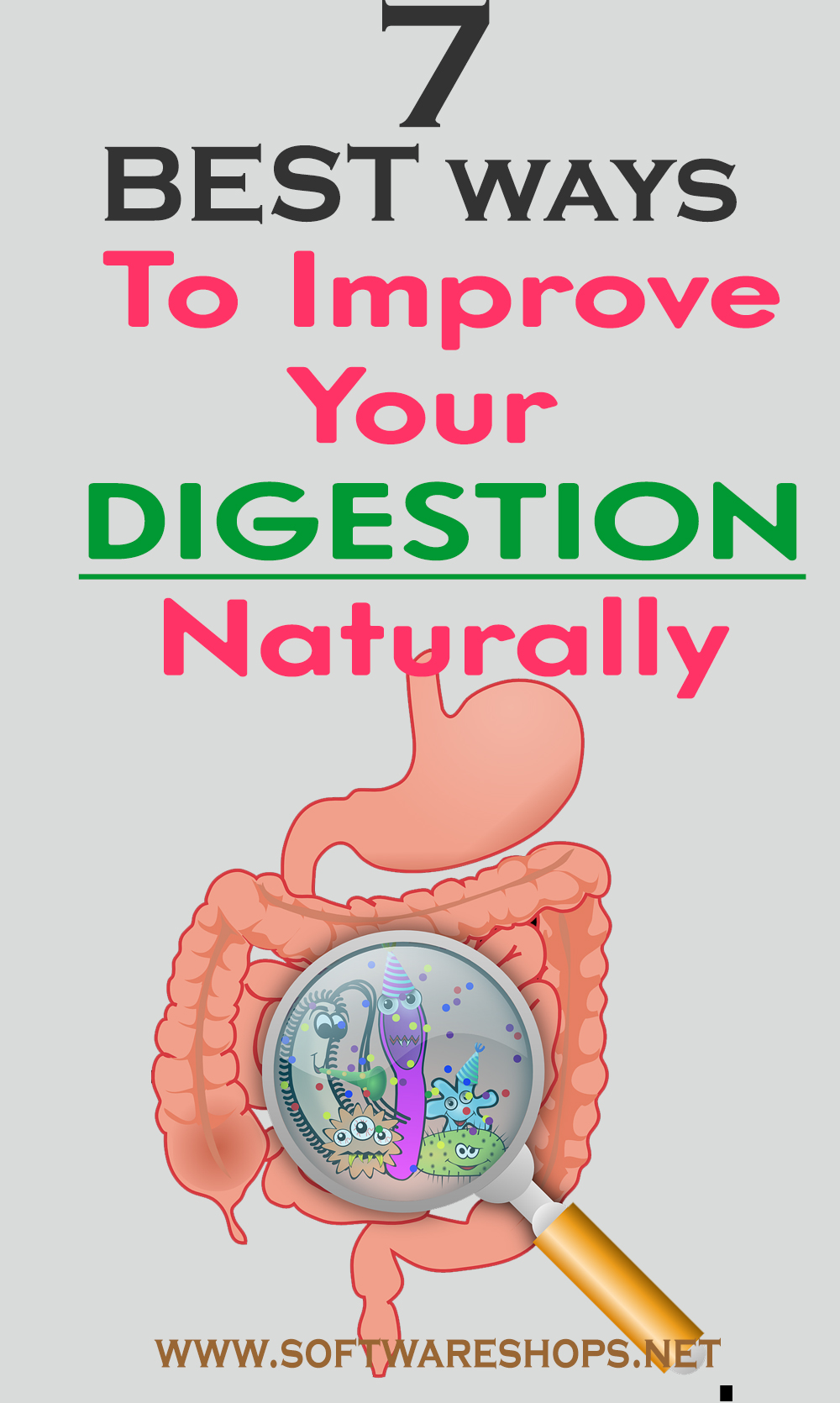 best way to improve your digestion naturally