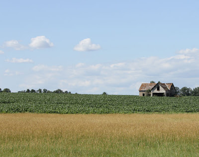 photo of abandoned farm house in a field
