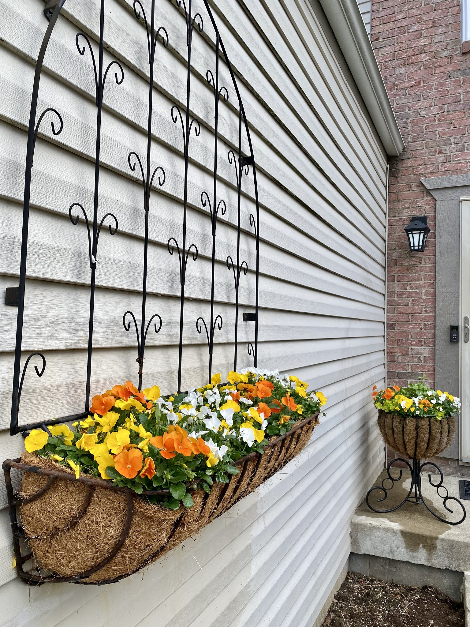 Life In Robin's Nest