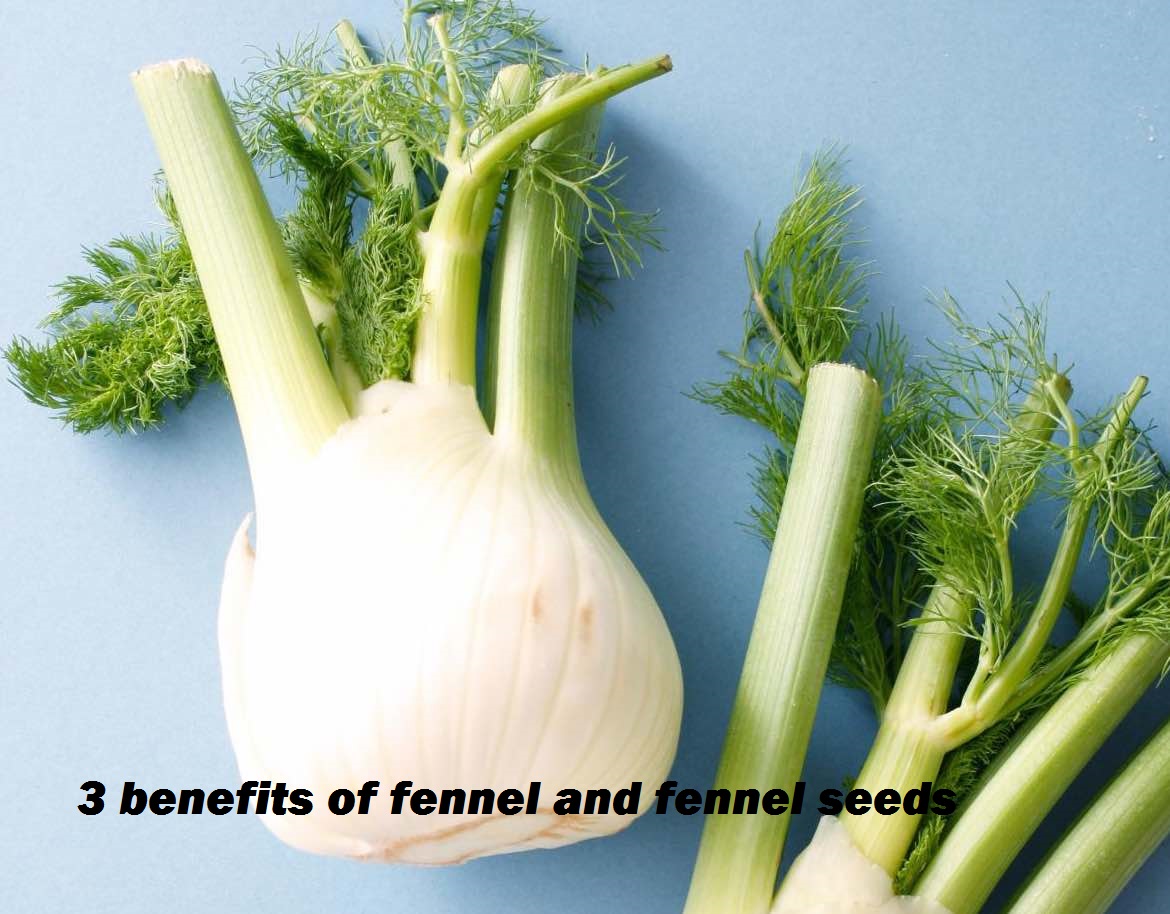 3 benefits of fennel and fennel seeds Health and Fitness