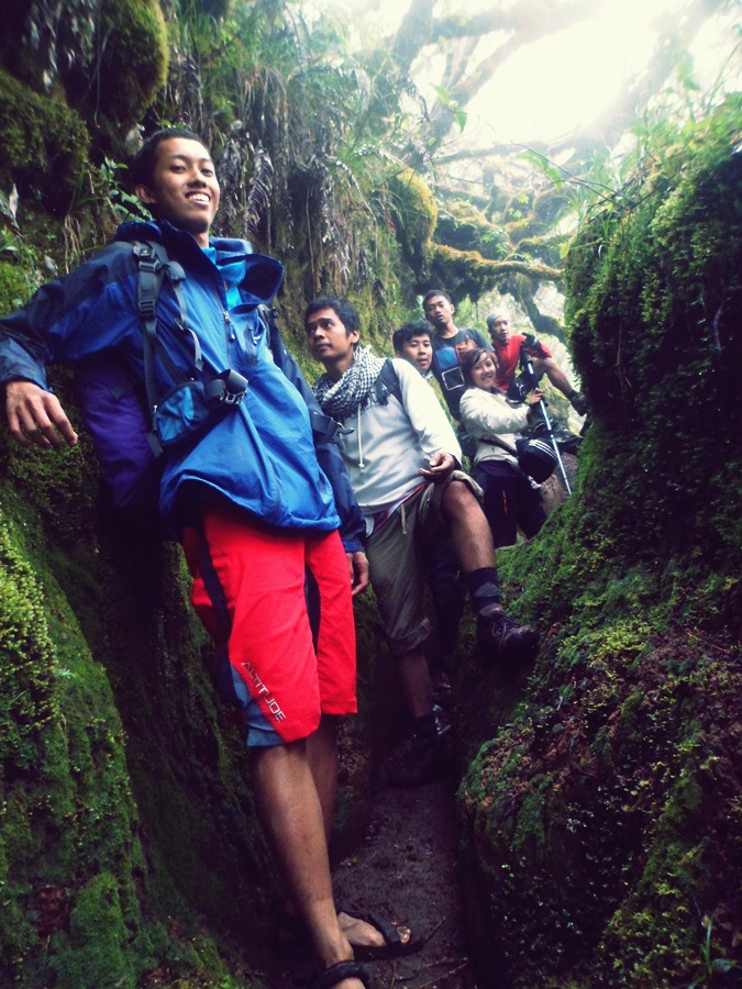 Menggalauwangi di Lembah Mandalawangi - Gunung Pangrango