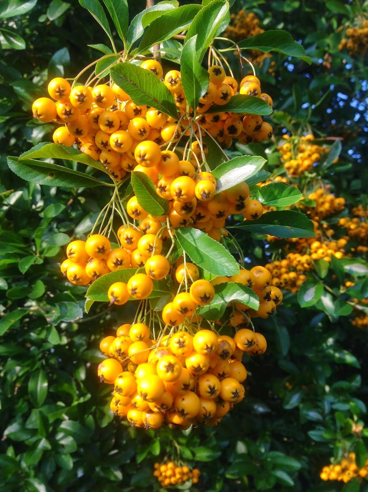 Das Blaue Haus Januar 2013