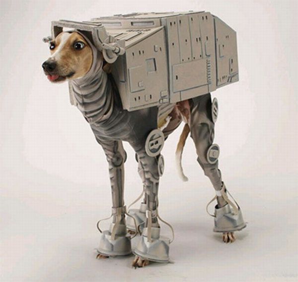 http://1.bp.blogspot.com/-WiitAwE2hGc/TxB3fHxRfqI/AAAAAAAATPg/20Q24wpV9uw/s640/dog_costumes_07.jpg