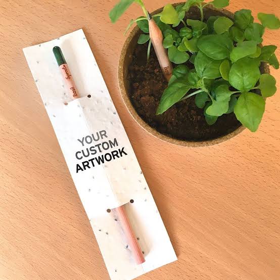The pencil that grows into a plant