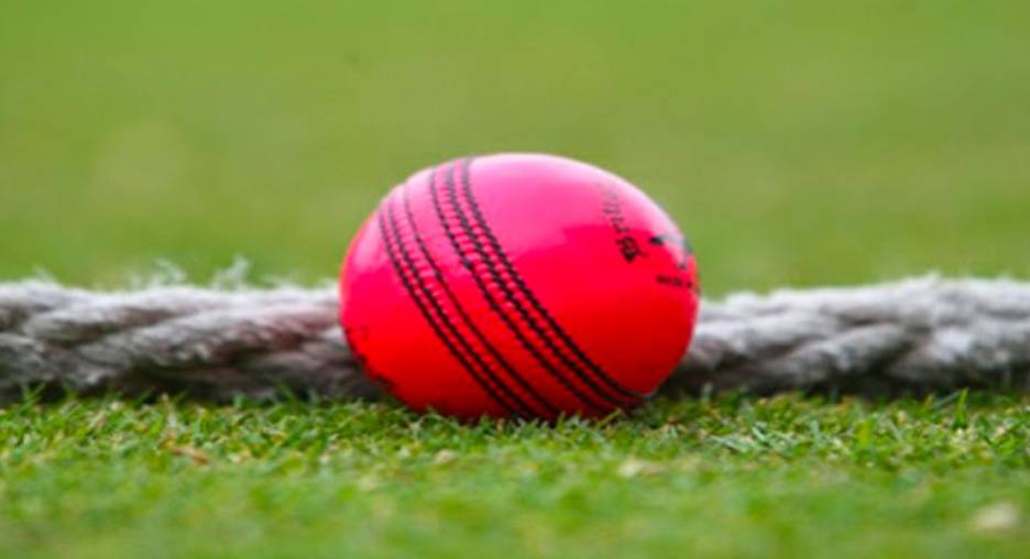 Which of the following is a slang term for the ball used in a cricket
