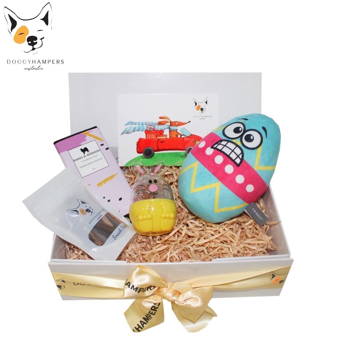 12 Best Easter Gifts for Dogs in 2021 Australian Dog Lover