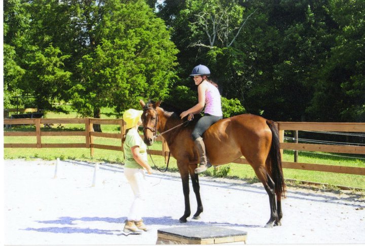 Horse Training and Riding Lessons