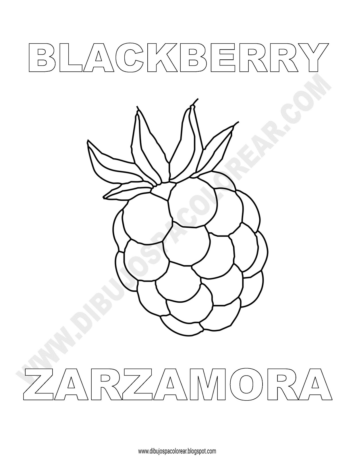 Dibujos Inglés Español con Z Zarzamora Blackberry