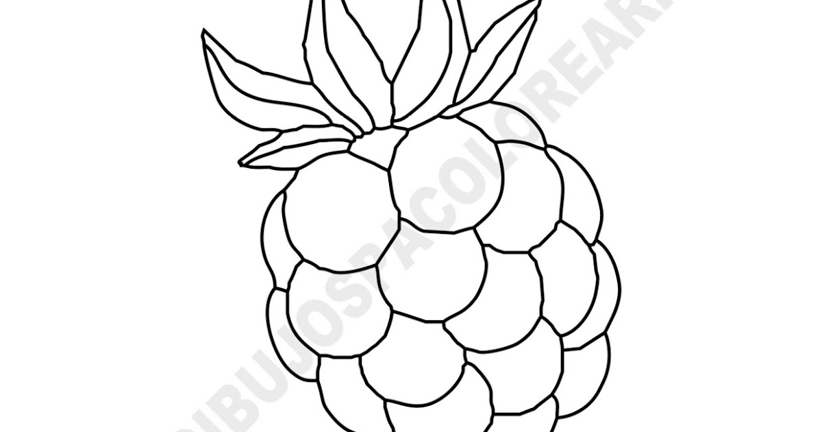 Dibujos Inglés Español con Z Zarzamora Blackberry