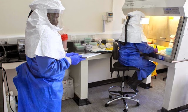 100% αποτελεσματικό σε πιθήκους το πειραματικό φάρμακο για τον Έμπολα