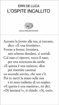 Artecinemafumetticultura Poesia Erri De Luca