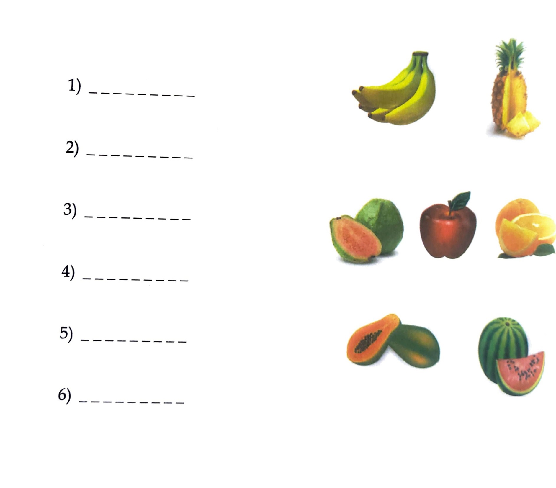 NCERT Class 1 English Question paper English model Question paper