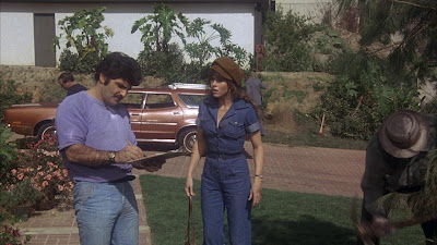 Fun With Dick And Jane 1977 Jane Fonda Image 1