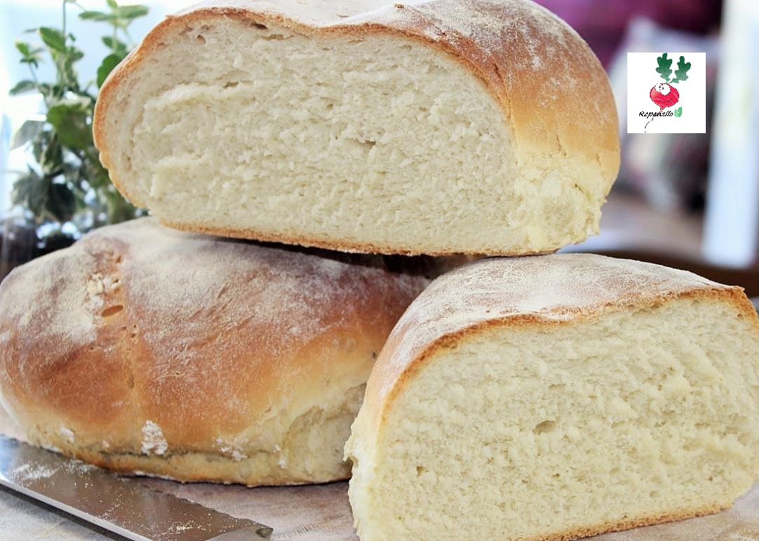 PANE MORBIDO DI FARINA 00 PAGNOTTE