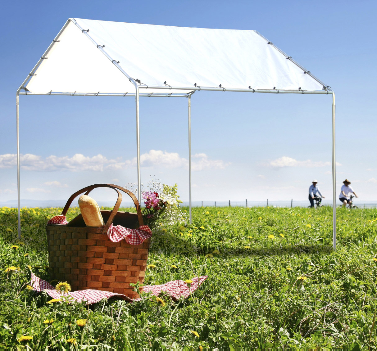 Ace Canopy December 2011