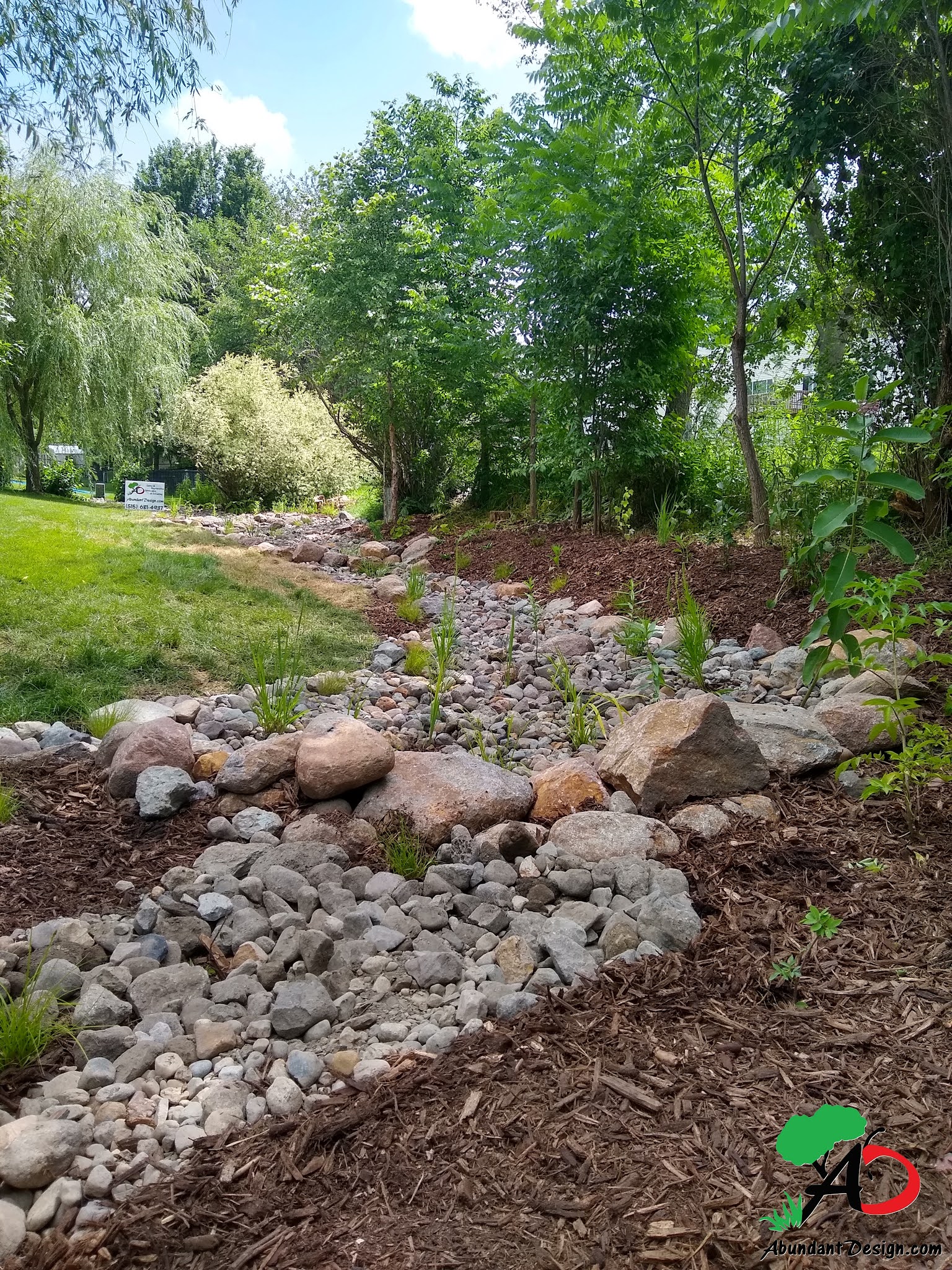 Abundant Design Drainage Easement Makeover, Naturally