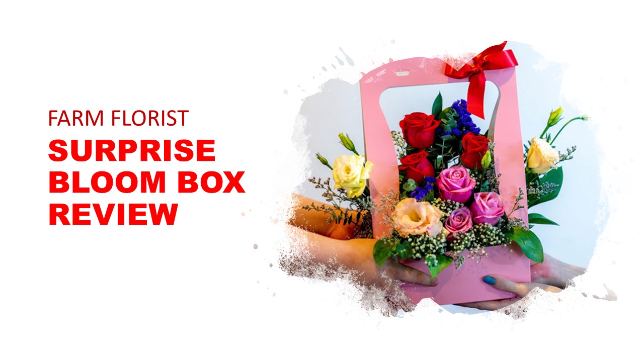 Bloom Box Surprise from Farm Florist Singapore Wacky Digital Underground Outpost